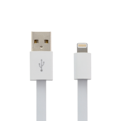 Lightning to USB SynCharge Cable